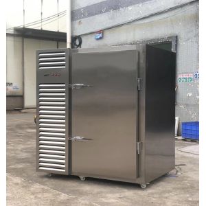 ltra low temperature 10 trays ss304 blast freezer
