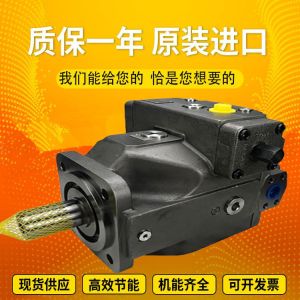 China A4VSO125DFR/22R-PPB13N00		A4VSO180LR2/30R-VPB25N00 InjectionmoldingmachineplungerpumphydraulicRexrothmotor wholesale