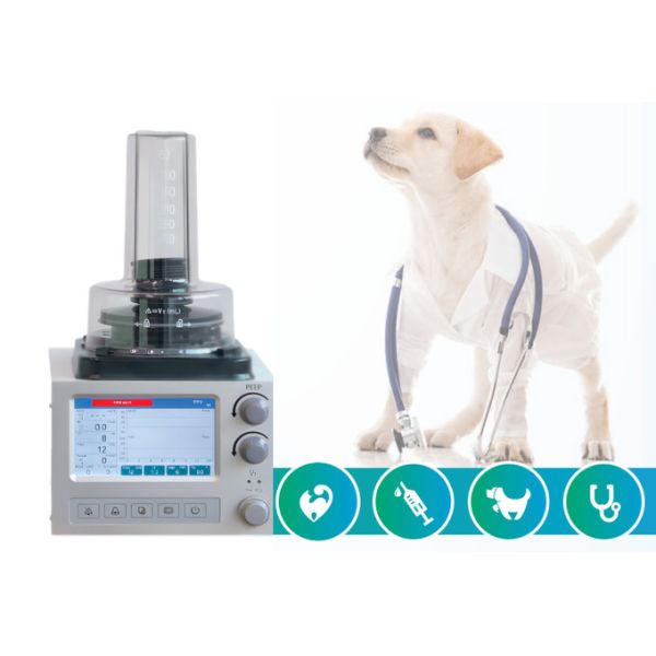 DH6B Veterinary Anesthesia Ventilator With 3 Ventilation Modes IPPV A/C SIMV
