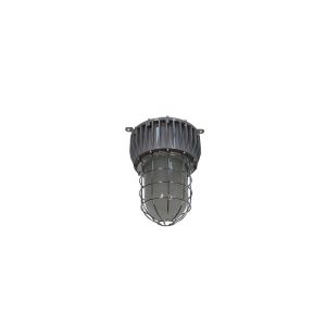 ATEX 40-100W Explosion Proof LED High Bay Lights IP66