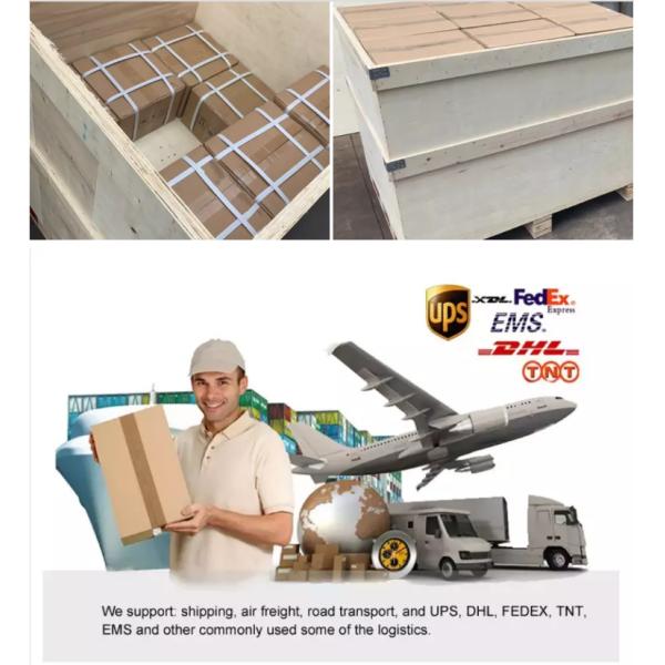 C2060 Transmission Roller Chain / Conveyor Belt Chain 304 SS