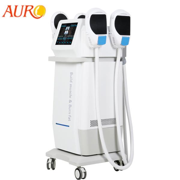 Electromagnetic Muscle Stimulator Machine 4 Handles RF Manual Mode Weight Loss Trainer Body Slimming Machine