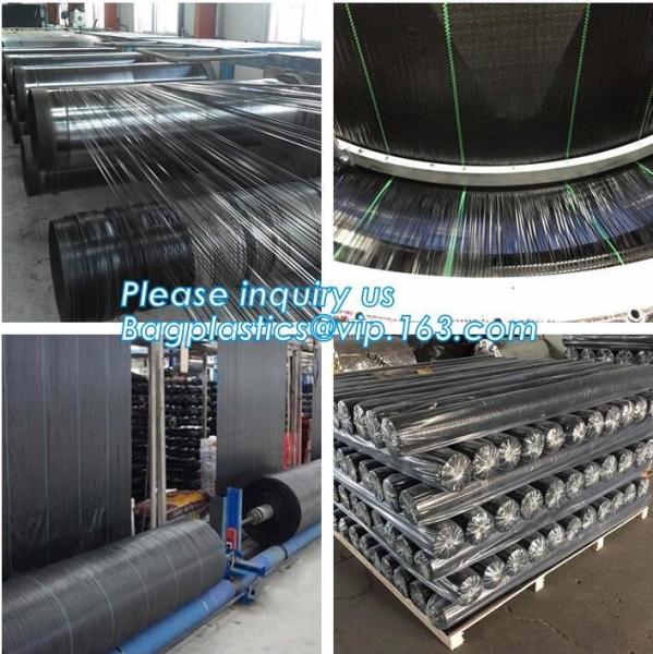 Perforated Black Agricultural Mulch Film for Weed Control Membrane,Pre-stretch Perforated UV Resistant Agriculture Film