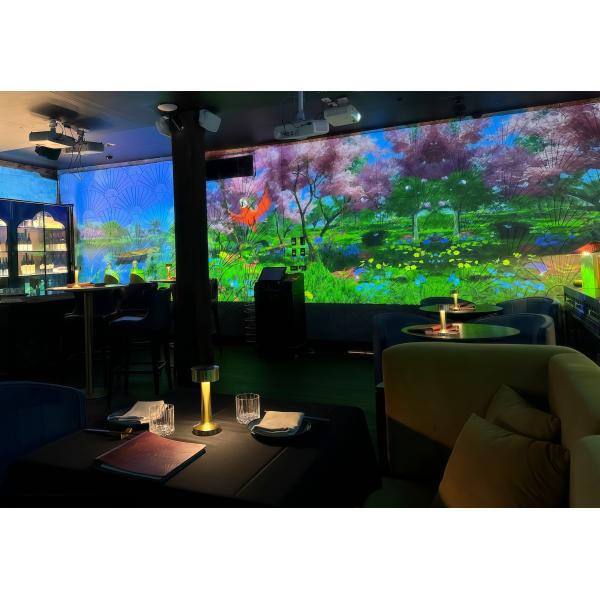 4800 Lumen Short Throw Projector Immersive Projection Experience