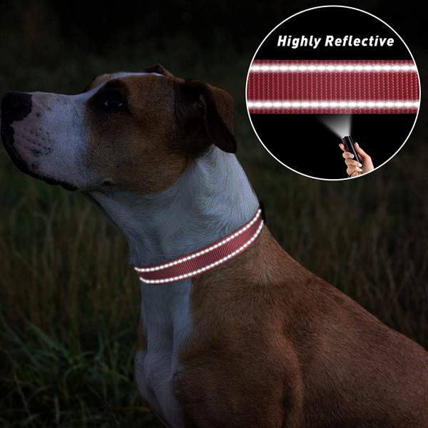 Stylish Nylon Pet Collar Rust Resistant Waterproof Reflective Dog Collars