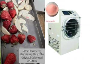 China Food Fruit Vegetable Mini Freeze Dryer For Home Use on sale