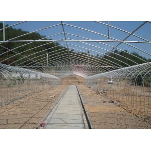 China Poly No Welding Hydroponic Greenhouse Systems With Hydroponics Growing System on sale