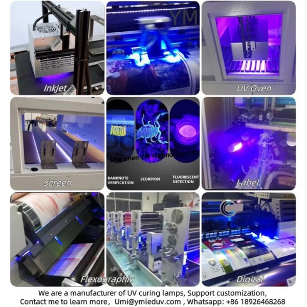 560W UV LED Light 365nm 385nm 395nm 405nm UV Led Module for Printing Machine Lamp 2