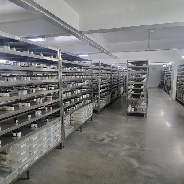 Customized Scent Sakura Fragrance Essence Fragrance Oil For Shampoo