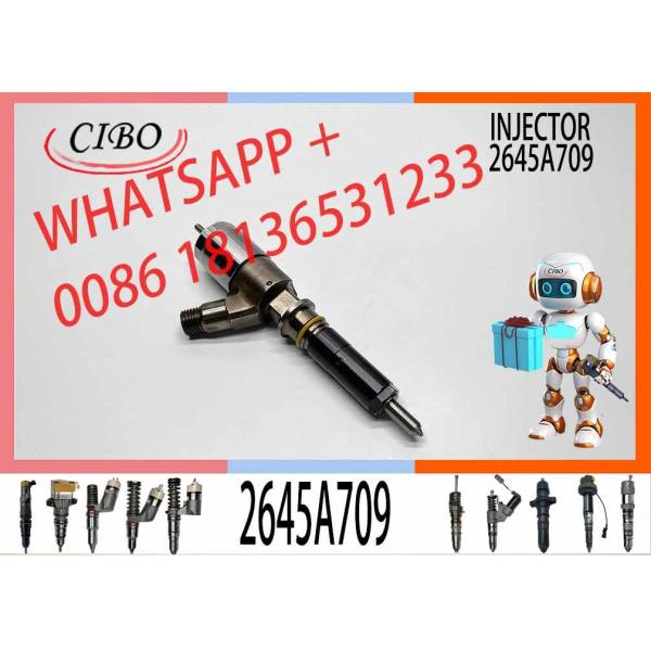 Diesel Engine Fuel Injector 282-0490 2645A709 10R-7673 10R-7676 2645A734 Engine Diesel C6.6 C6.4 C4.2 Injector