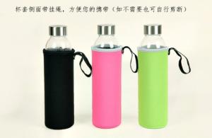 China BPA FREE recycled Borosilicate Glass sport Water Bottles with Cover 280ml 550ml wholesale