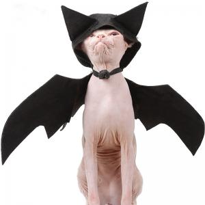 China 100g Halloween Pet Bat Wings Black Cool Dog Cat Bat Hat Disguise Pet Costume wholesale