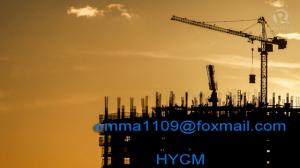 China Special Cost Tower Crane 5t Load Capacity 50m Boom 1.3t Tip Load 30m Working Height on sale