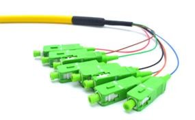 China Multifiber Bundle Fiber Optic Pigtails 4 / 6 / 12 Cores SC APC G657A wholesale