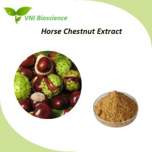 China Natural Horse Chestnut Extract Aescin / Aesculus Hippocastanum Extract wholesale