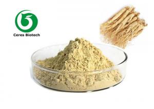 China Hot Sale Ginseng Extract Powder With 5% 20% 80% Ginsenosides wholesale
