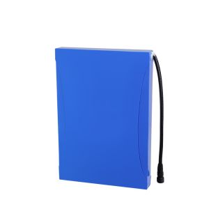 China 48v 30ah Lifepo4 Battery Pack Electric Forklift Li Ion Rechargeable Battery on sale