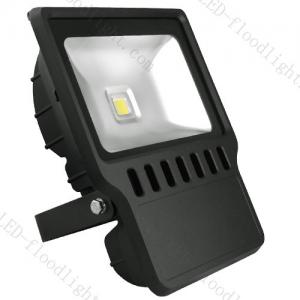 China 100W led floodlight high efficiency waterproof with meanwell driver and bridgelux led chip on sale