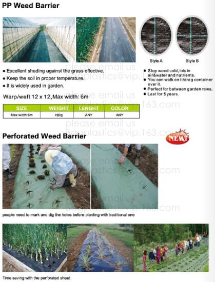 Perforated Black Agricultural Mulch Film for Weed Control Membrane,Pre-stretch Perforated UV Resistant Agriculture Film