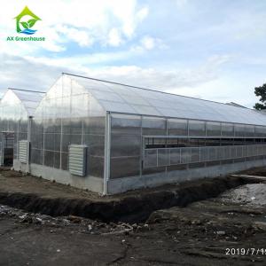 China 1.2g/Cm2 Anti Snow Greenhouse Polycarbonate Sheets 6mm Twin Wall Polycarbonate Panels wholesale
