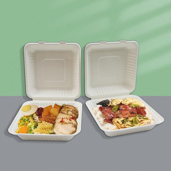 Bagasse Clamshell Biodegradable To Go Box Compostable Lunch Box