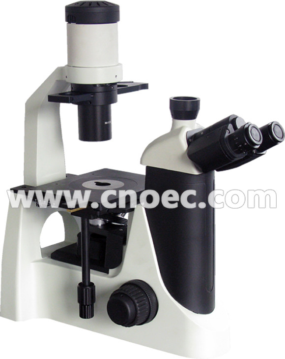 China Biological Inverted Optical Microscope wholesale