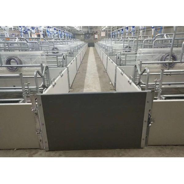 Hot DIP Galvanized Sow Farrowing Crate 1 Inch Tube Swine Farrowing Pen