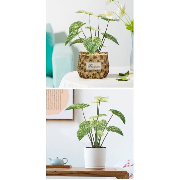 Artificial Small Green Potted Plants 32cm High 37cm Wide Evergreen Table Plants