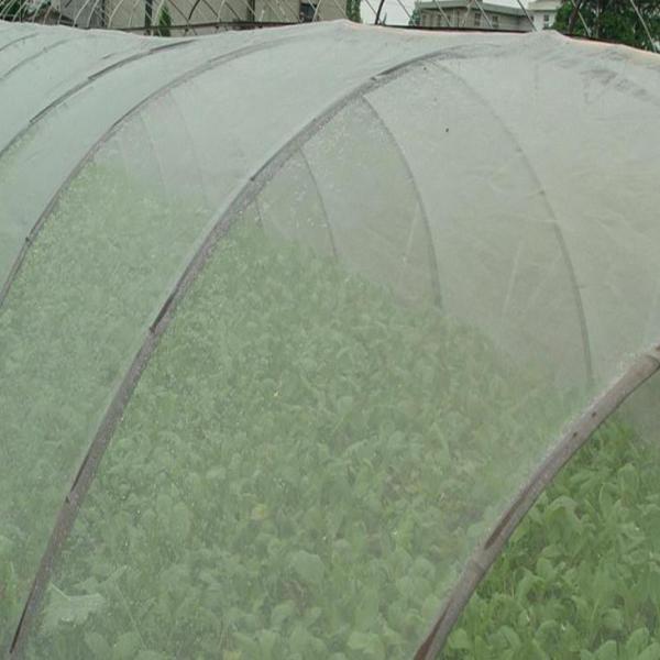 HDPE plastic agricultural anti insect tunnel net for green house