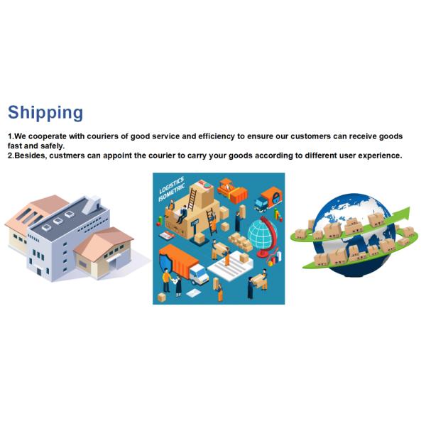 Safety Extended Length Carbide Burrs Carbide Die Grinder Bit Set Oem Service