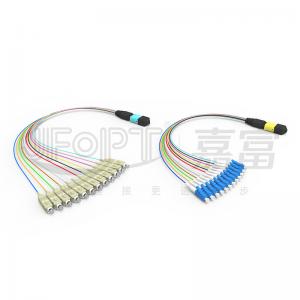 China MPO-SC/LC/FC/ST 8/12/24-Core Single / Multi Mode Low Loss Patch Cord Telecom Grade on sale