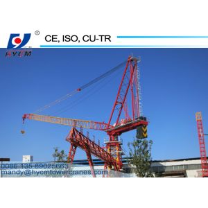 China 1250KN.m Fixed Jib Crane 50m Tower Crane Boom Length D5020 Luffing Jib Crane with Tower Crane Climbing Cage on sale