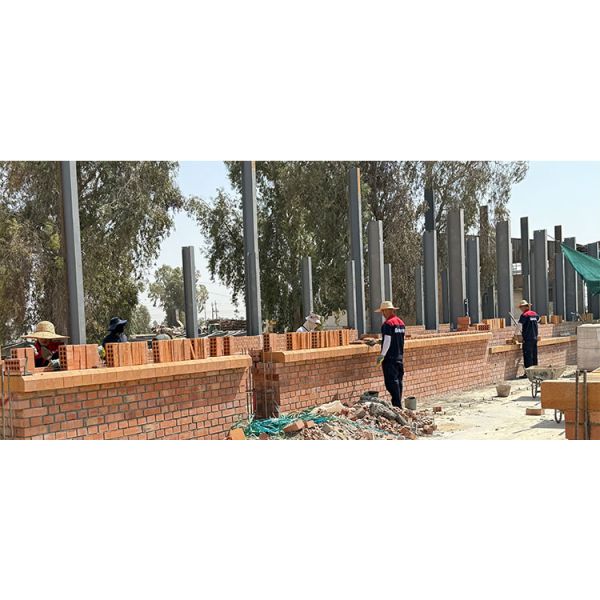 Customized Clay Brick Factory with Fully Automatic Clay Brick Production Line and On-site Construction