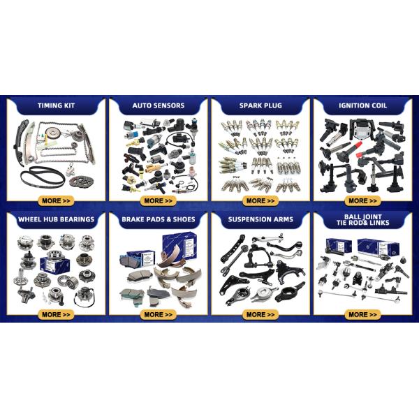 ODM Hyundai Auto Parts Engine Timing Chain Kit 24321-2B000 24221-2B000 24121-2B000