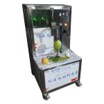 Fruit And Vegetable Processing Full Automatic Vegetable Fruit Sorting Cutting