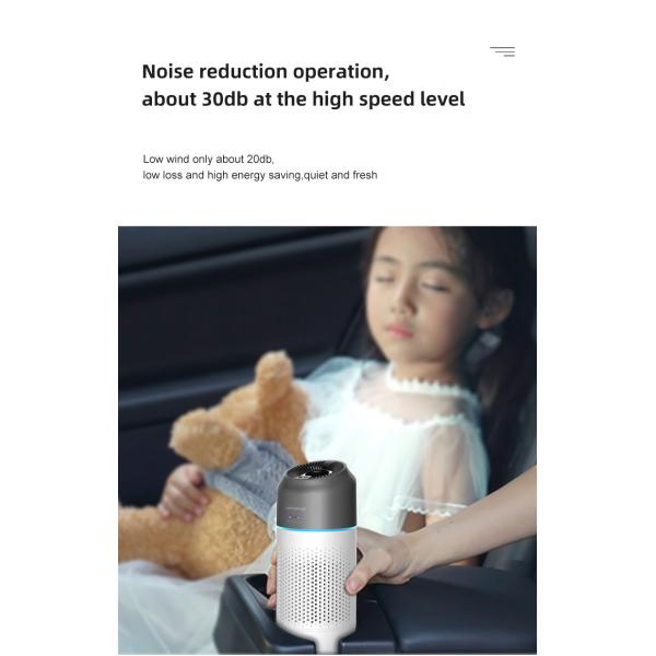 Homefish Hepa 13 Anti Bacterial Filter Usb Rechargeable Portable Humidifier