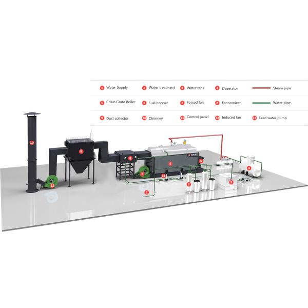 Automatic Feeding Chain Grate Coal Fired Steam Boiler 6 Ton Per Hours