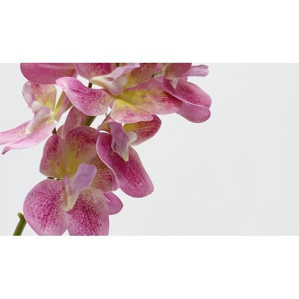 Colorful Artificial Vanda Orchid Branches 67 cM For Indoor Decor Flower