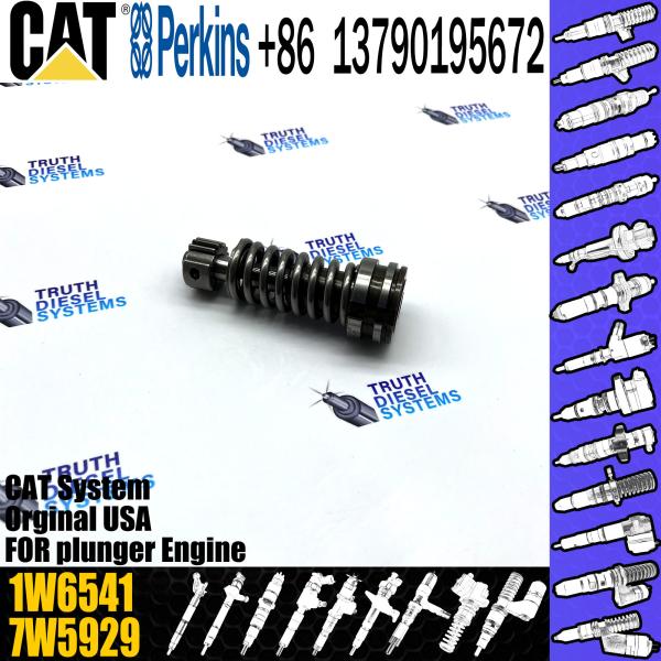 Diesel Fuel Injection Pump Plunger 1w6541 4p9830 9n5797 6n7527 Plunger Barrel 7W5929 Element for CAT 3306
