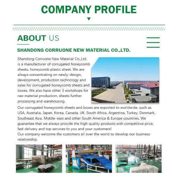 Corruone PP double wall pp polypropylene plastic sheet honeycomb core pane board l with cellular structure