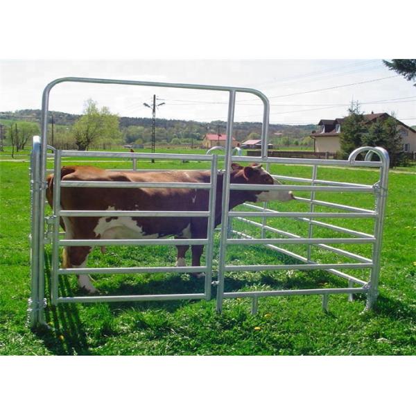 Heavy Duty Galvanized Corral Yard Cattle Panel / 40x70mm Bulk for Livestock