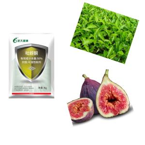 50% Pymetrozine WP Natural Vegetable Insecticide Kill Cabbage looper