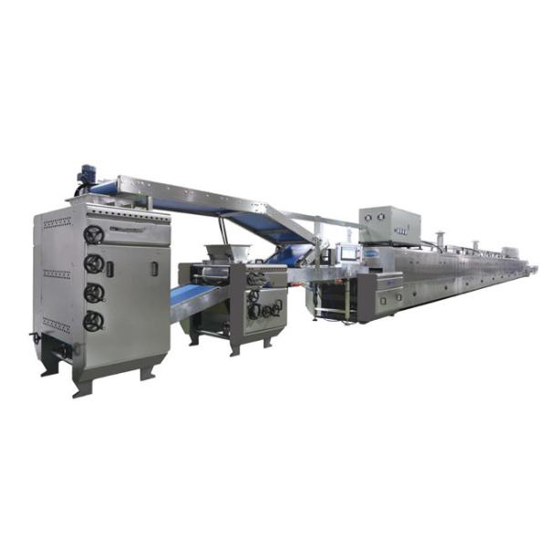 Pet Dog Biscuit Machine Production Line Patent Technology BCQ250 BV Certification