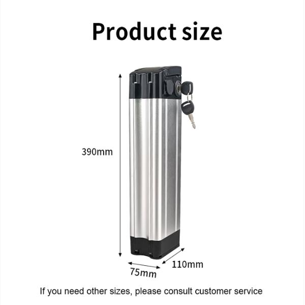 Portable 1000w 48V 20Ah Lithium Ion Battery For Electric Bike