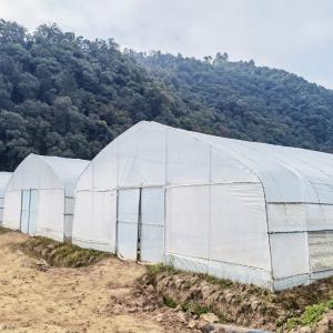 China Hot Galvanized Steel Frame Tropical Fruit Grow Greenhouse Commercial Greenhouses For Sale wholesale