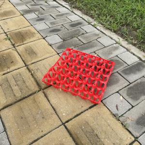 Eco Friendly Rectangular Plastic Egg Tray For Fresh Eggs