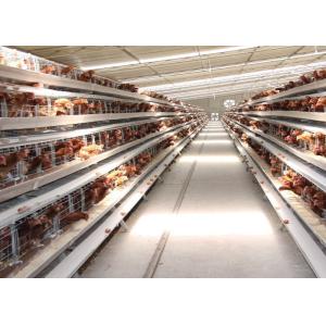 Battery Chicken Farm Poultry Equipment With Auto Chicken Feeding System