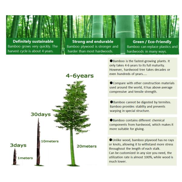 Direct Niska Cena 9mm Thick Bamboo Plywood with Modern Design Style and OEM/ODM Logo