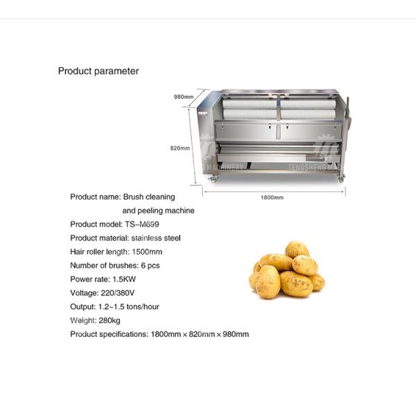 1500KG/H Sweet potato hair roller cleaning machine carrot automatic peeling cleaning potato peeling machine