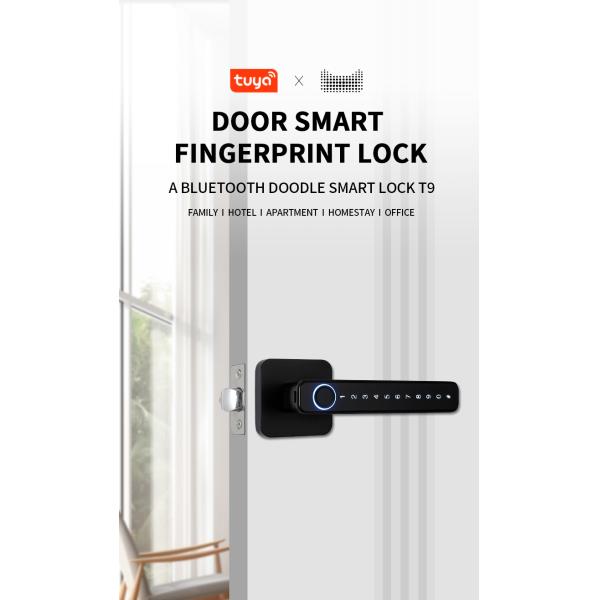 Security Smart Door Lock System / Residential Fingerprint Door Locks